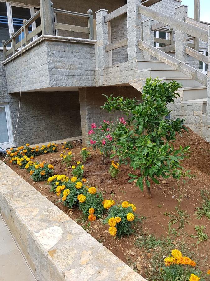Sofia'S Holiday Apartment Vlorë エクステリア 写真