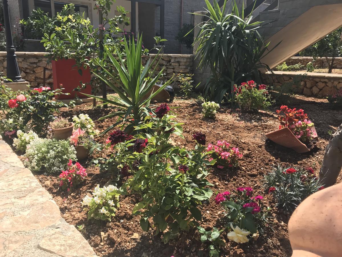 Sofia'S Holiday Apartment Vlorë エクステリア 写真